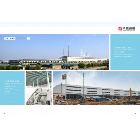 東莞市理文造紙廠項(xiàng)目